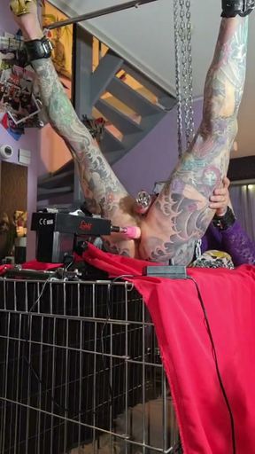 Hooked up legs spread and ready tp pegged