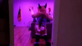 Freyashibe baile