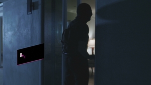 Brazzers: Burglars stealing not jewels but lust with stars