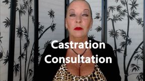 Castration Consultation (WMV)