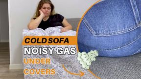 Cold Sofa Noisy Gas Under Covers