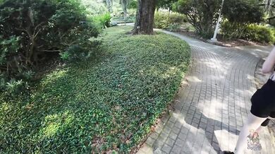 NOLA CityPark Sculpture Garden Verified Amateur Walk