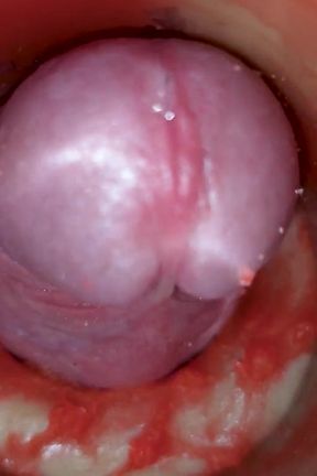 Cum Without Sperm. Excellent Internal Camera. 4K