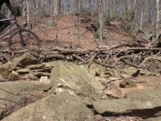 nature (erotic vlog 5) teaser