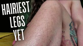 Hairiest Legs Yet! 480p