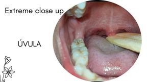 Inspecting my úvula with saliva