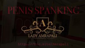 PENIS SPANKING Total lengths 3:42 minutes  Penis Torture - Auf Schwanz schlagen - Cockturture - Cock Spanking - CBT - Slave - Sklave - Female Domination LADY AMRAPALI  Herrin Mistress Domina Femdom