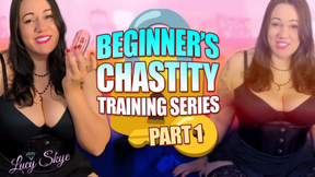 Beginner
