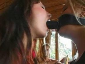 Animal Trainer 2