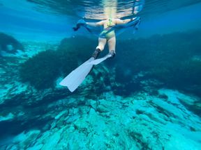 Freediving at the springs