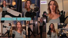 Audrey: Luscious Lynx Mezmerized