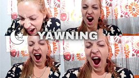 Long, Provocative Yawns