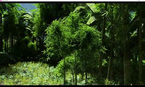 The Lust City-The maid knows how to please the boss