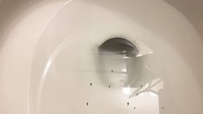 Tiny employees go for a Swim in Giantess Boss Toilet 1080 smaller