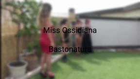 Fustigazione