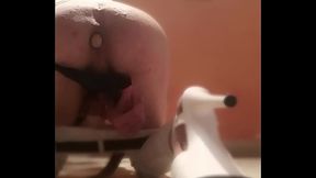 CleoTgirl si masturba al rientro dalla discoteca