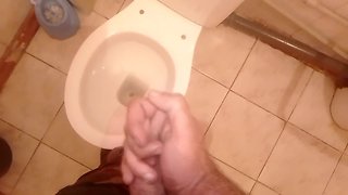 Video of Fingering and finishing in the toilet