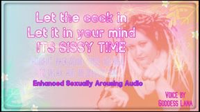 AUDIO ONLY - Let the cock in let it in your mind its sissy time