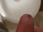 piss pissing toilet pig // / me meo con gusto