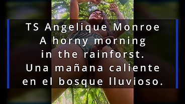 TS Angelique Monroe - A horny morning in the rainforest.