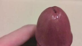 &#x5973;&#x6027;&#x5411;&#x3051;&#x7121;&#x4FEE;&#x6B63;&#x30B9;&#x30DE;&#x30DB;&#x7E26;&#x52D5;&#x753B; &#x30BB;&#x30E9;&#x30D4;&#x30B9;&#x30C8;&#x306E;&#x30AA;&#x30CA;&#x30CB;&#x30FC;&#x3068;&#x5C04;&#x7CBE;