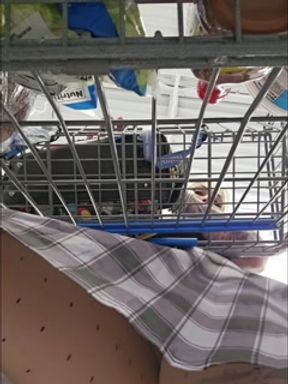 Hot Tattooed Real Exhibitionist Couple Naughty Fun in Public and Home