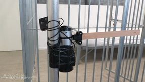 CHASTITY UPDATE / SPANKING MACHINE / BDSM