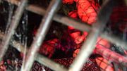 20yo Witch Slut Ritual