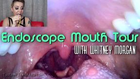 Endoscope Mouth Tour - Whitney Morgan - HD 720 WMV