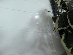 Lizzy Yum VR 2025 Edging #192