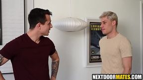 Gay housesitters having fun