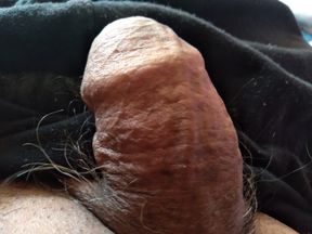 Verga is really eager to fuck you