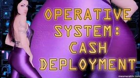 OPERATIVE SYSTEM: CASH DEPLOYMENT