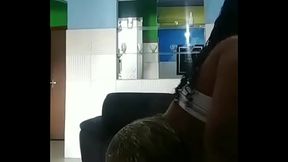 novinha de salvador
