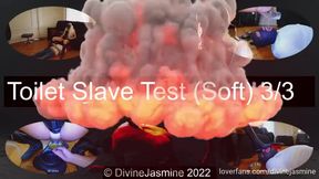 Toilet Slave Test (Soft) - 3/3