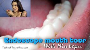 Endoscope Mouth Tour - Miss Roper - HD 720 WMV