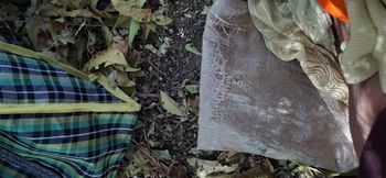 Bhabhi Fucked in the Jungle