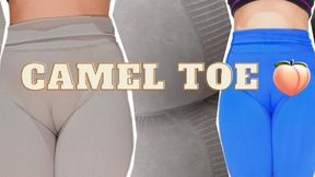 Camel Toe Worship