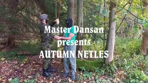 Autumn Nettles