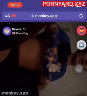Monkey App