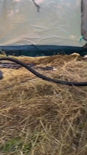 Epic moment from &quot;Fucking &amp; Camping, Adventure&#039;s Best by Laura Quest S01E05&quot;