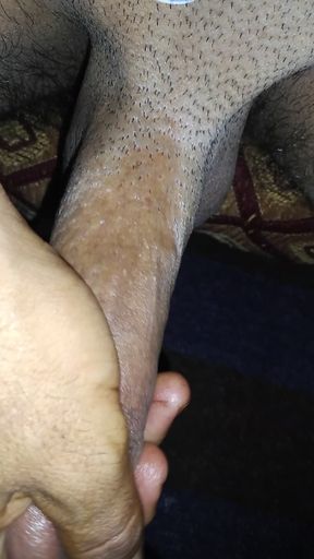 My dick is need pussies