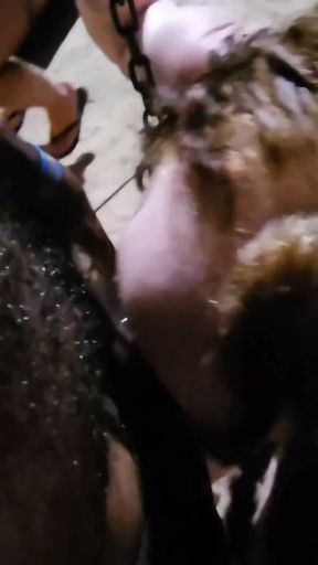 NAUGHT GIRLS HAVE FUN AND HAVE SEX IN THE LEISURE PLACE   Clip 1