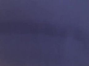 Redbone taking wood at work