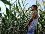 Summer jerk off in corn field - twitching cumming cock