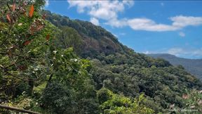 Indian Boy *BNWO* ASMR