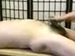 Amateur Asian Daddy's Happy Ending