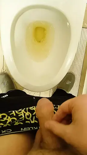 Public toilet piss #13