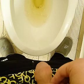 Public toilet piss #13