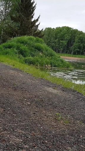 Men's Day Differently: a Special Walk